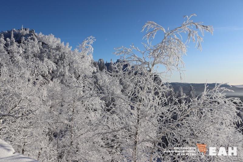    ЕАН. Деревья зимой в горах