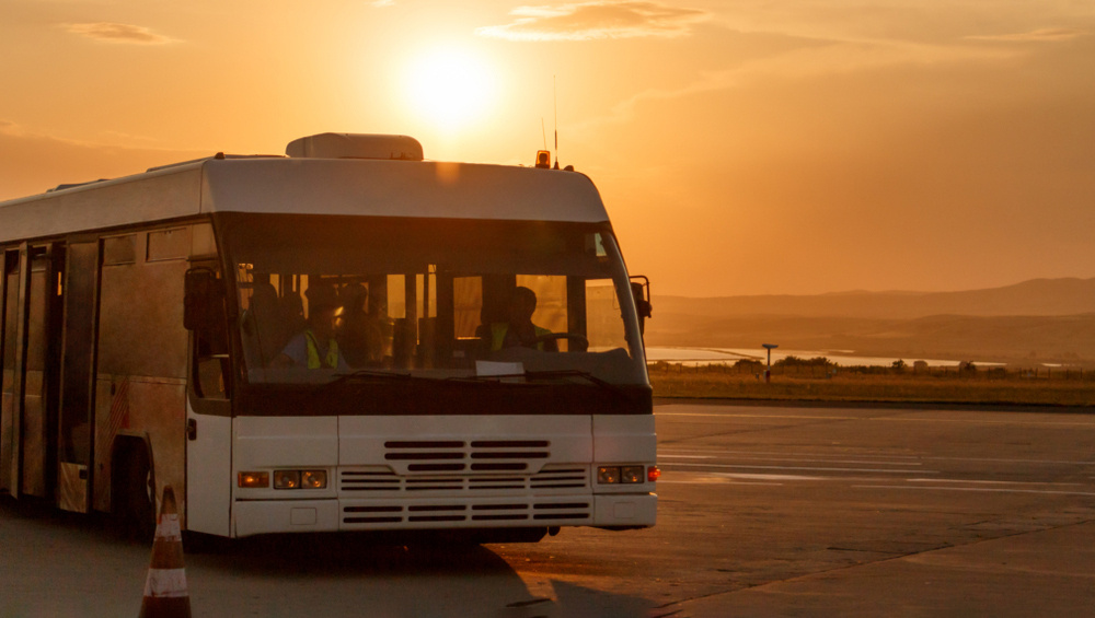     Фото: Artem Chekharin/Shutterstock/FOTODOM