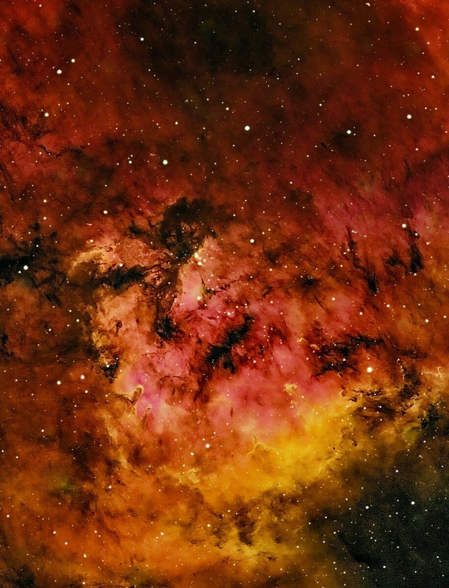   Туманность NGC 7822 . Источник: Иван Кузнецов, vk.com/ivan_altay