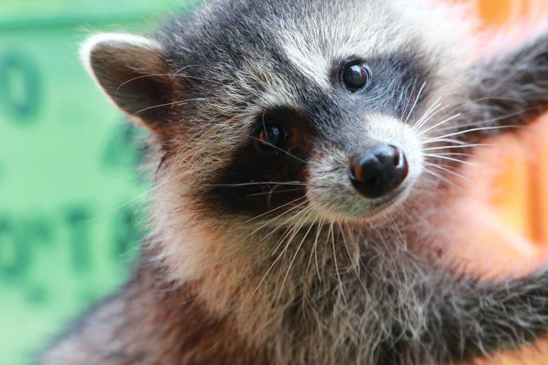    Сергей Булкин/NEWS.ru