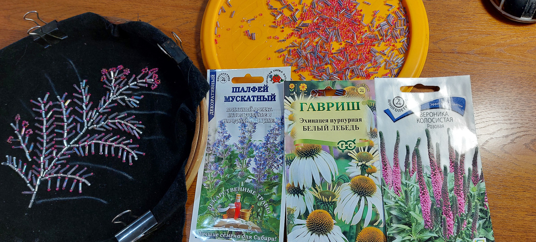 И вышивка театральной сумочки, и семена, и прогулка с сестрой, и всё сегодня