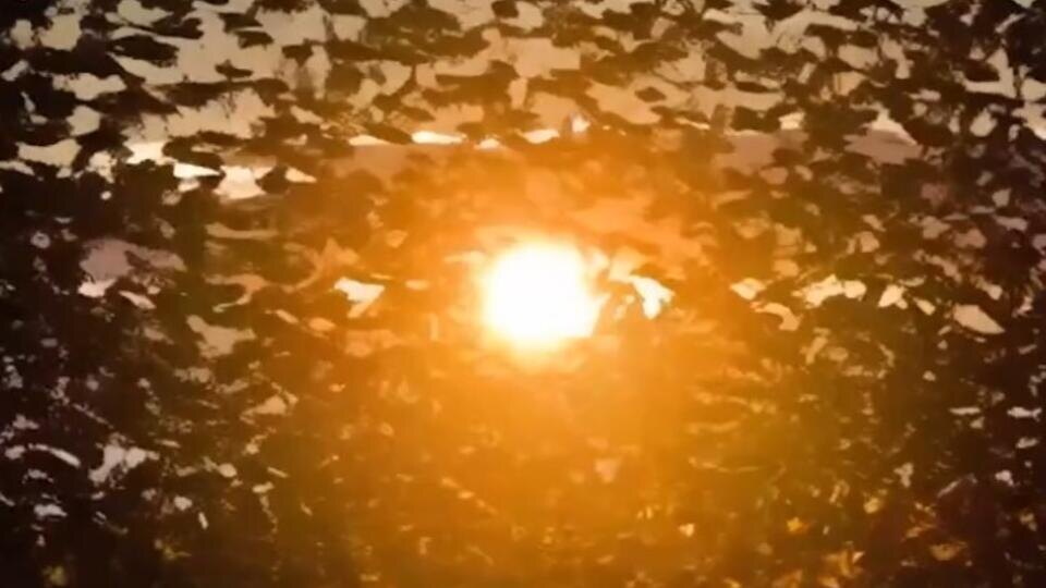 ФОТО: Кадр из программы "Как устроен мир", РЕН ТВ