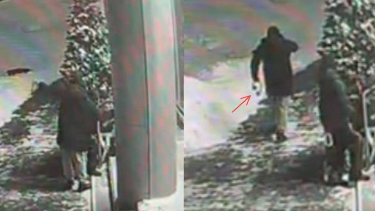    Фото: Прокуратура Москвы / Telegram