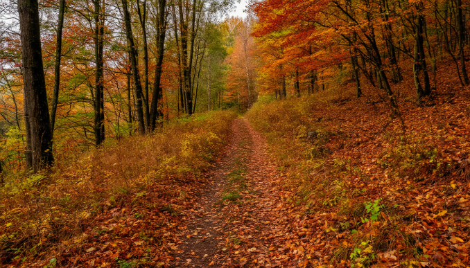 Изображение сгенерировано Шедеврум.