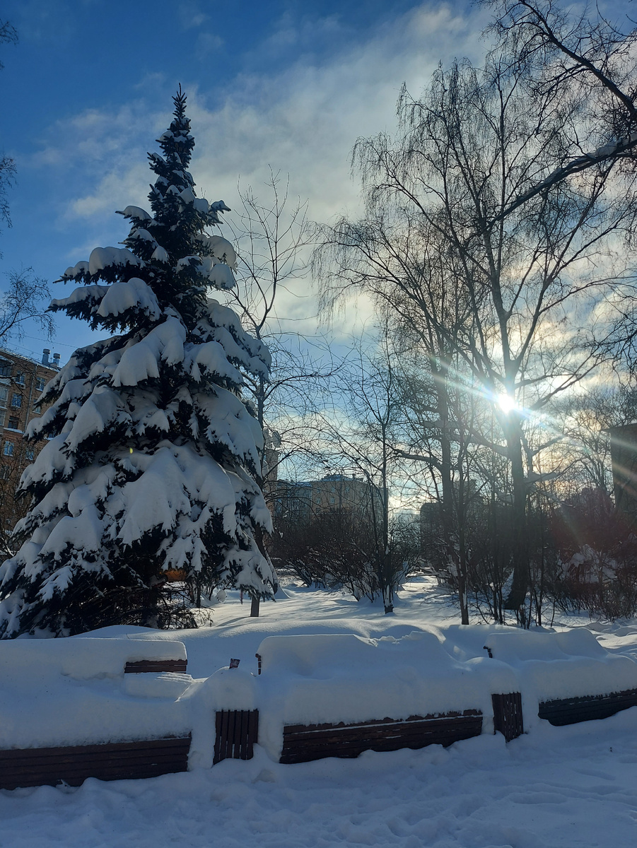 У нас мороз и солнце. А у вас?