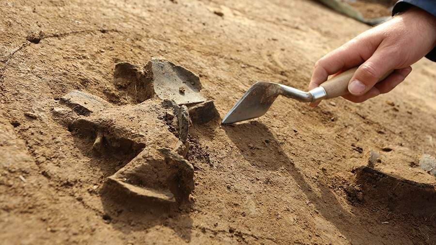    Фото: Global Look Press/Matthias Bein