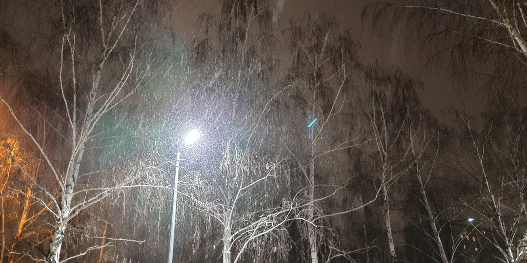 Чем отличаются пурга, метель, буран и вьюга