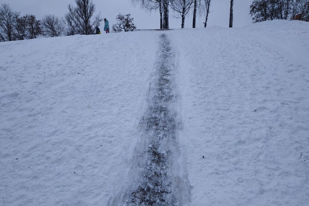    Фото: Елена Костюченкова