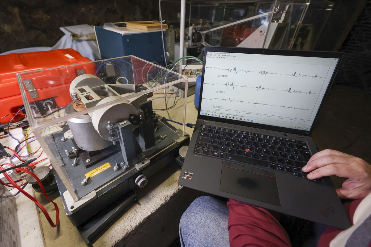     / Источник: © Global Look Press