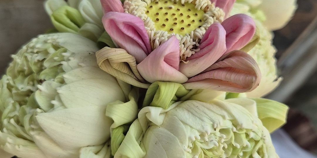 Добровольная жертва. Обмен с мирозданием.