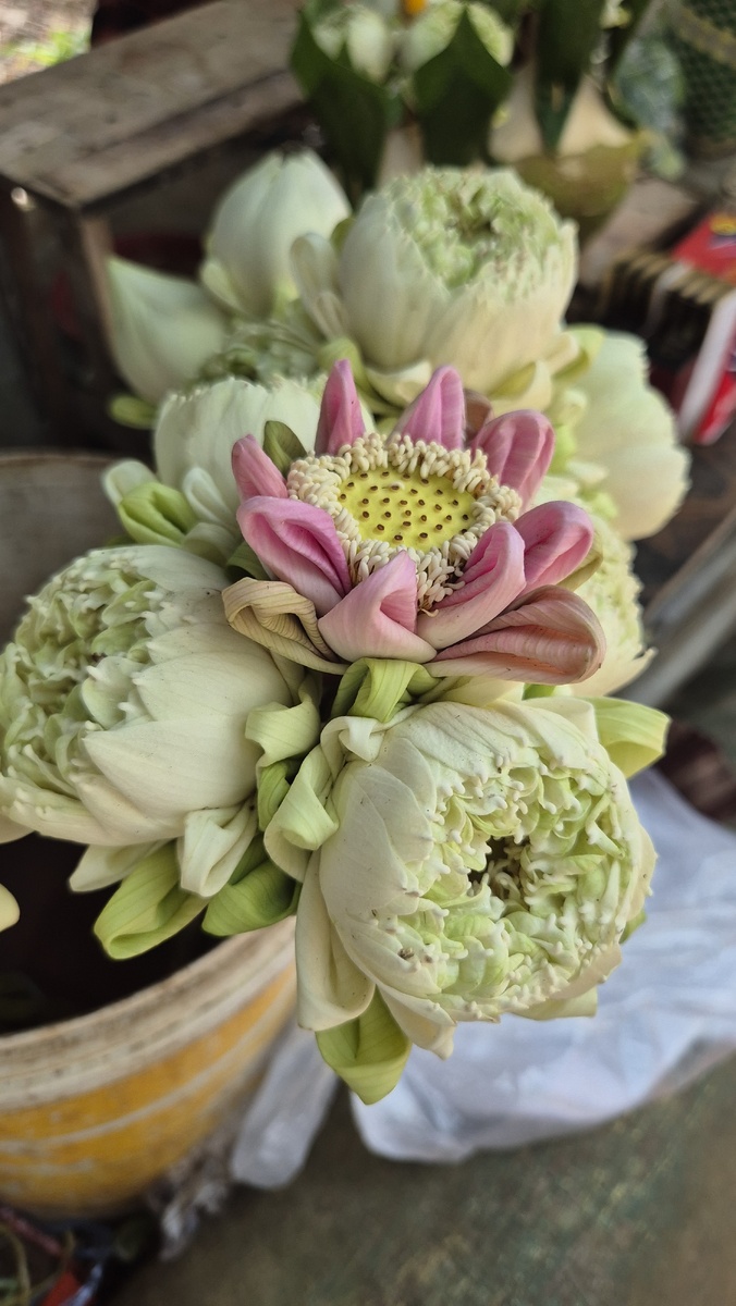 В каждом храме оставляем подношение, что-то ценное, совершая обмен с мирозданием