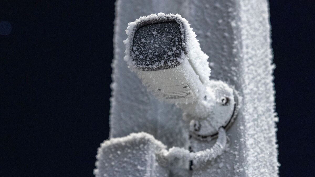    Фото: Федор Воронов/«Ямал-Медиа»