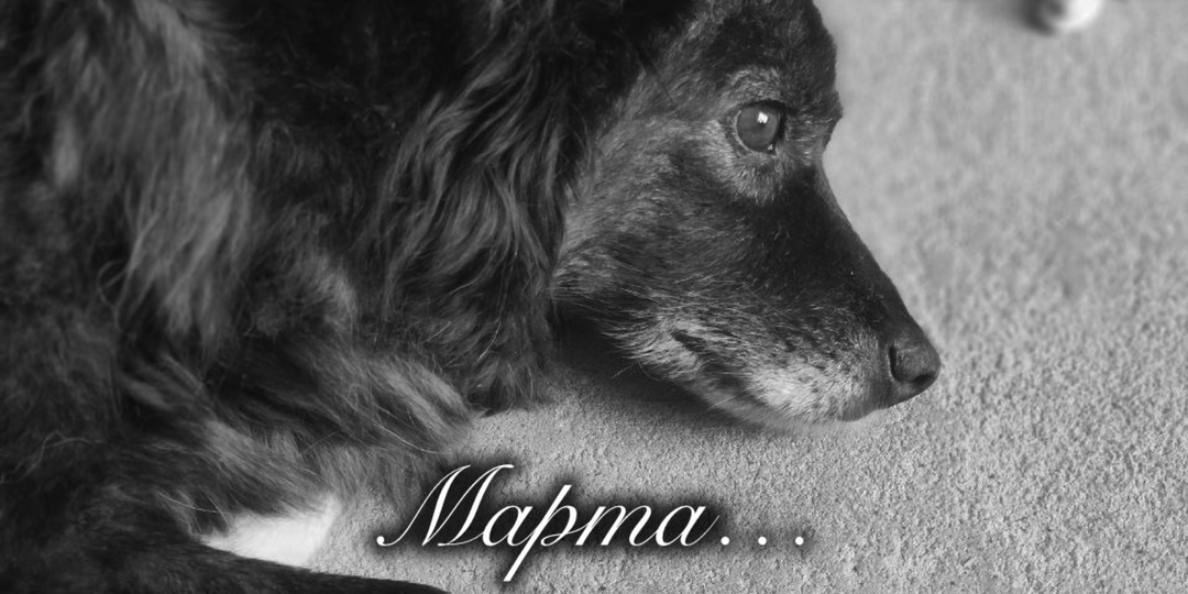 Её больше нет, но она навсегда останется в сердцах тех, кто её любил 💔😞