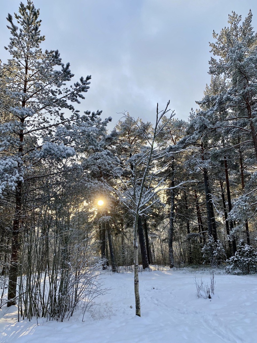 Автор фото я