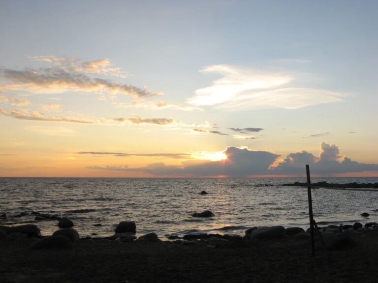    Фото: Общественная Служба Новостей Марта Леви