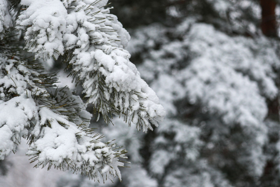    Сергей Булкин/NEWS.ru