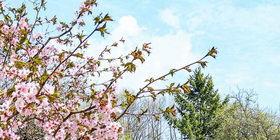    Фото: Москва 24/Лидия Широнина