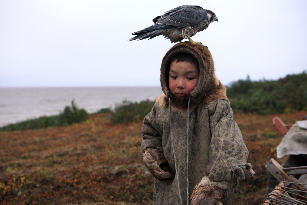 Андрей Романов. «Маленький варг». Фото: официальный сайт конкурса «Самая красивая страна»