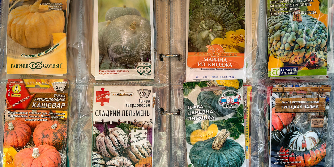 Шуршим тыквами!)