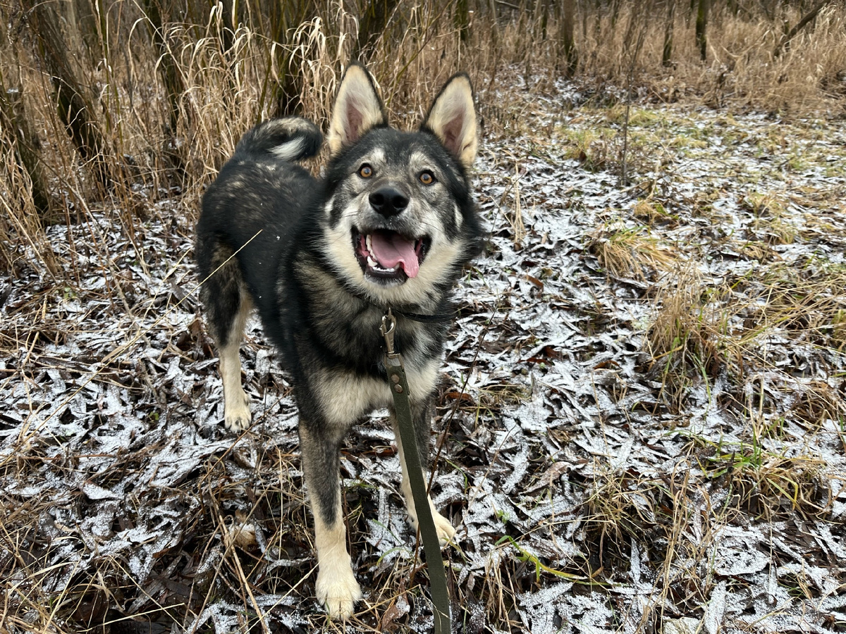Казбек рад. Он знает, что мы потрудились на славу!