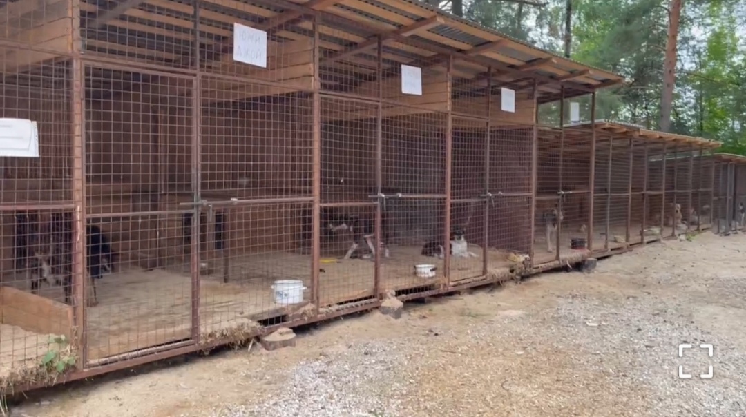 Красивые и уютные 