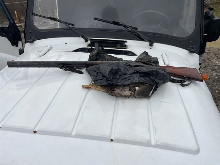 Источник: ИА ParkInfo