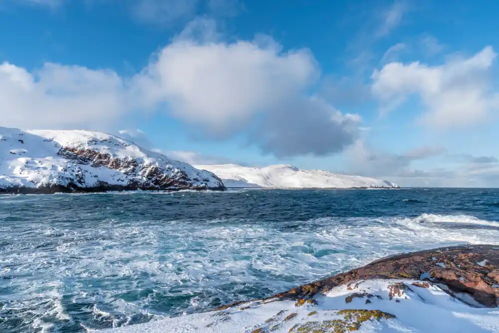 Источник: sputnik8