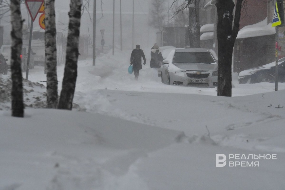   Максим Платонов / realnoevremya.ru