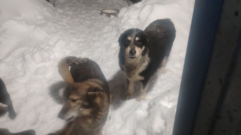 Итоги удвоения 🙏❤️