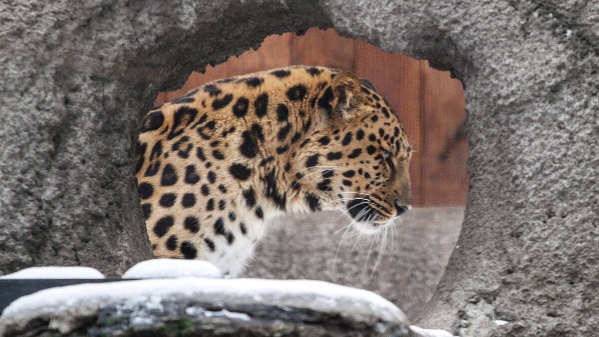    Фото: Андрей Никеричев / АГН Москва