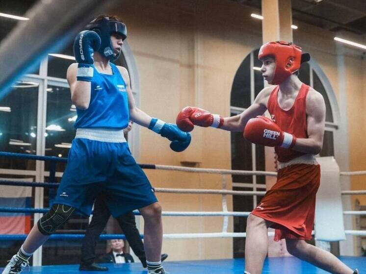     В Петербурге боксом занимается около семи тысяч человек. Фото: пресс-служба Комитета по физической культуре и спорту