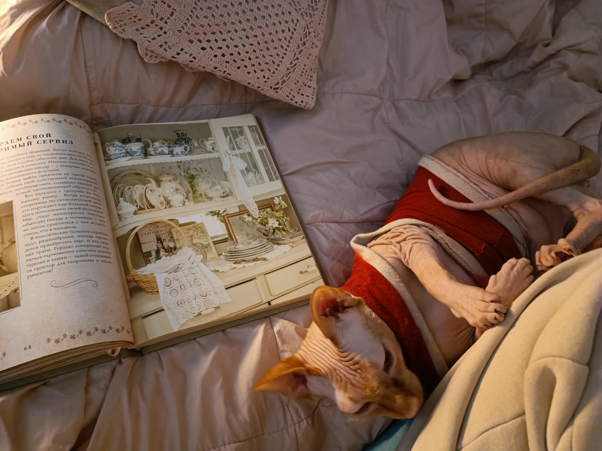 Котики конечно счастье, но сколько ж они едят и потом выдают обратно🤣