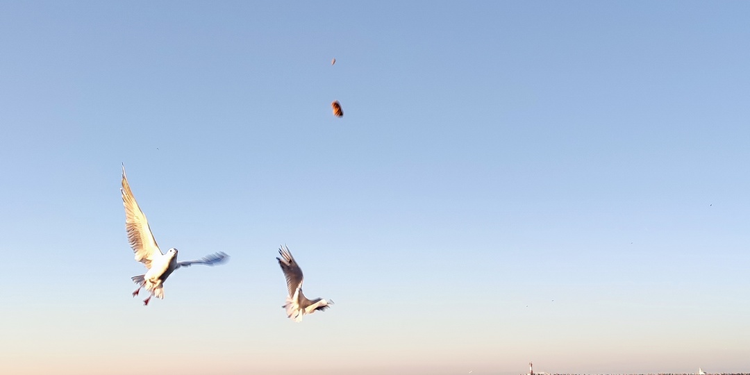 Прогулка между Европой и Азией