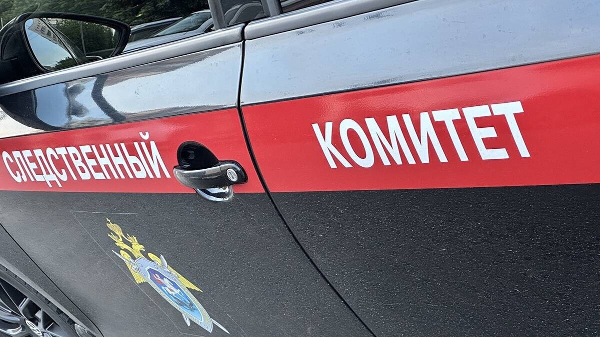   Фото: Официальный Телеграм-канал Следственного комитета РФ