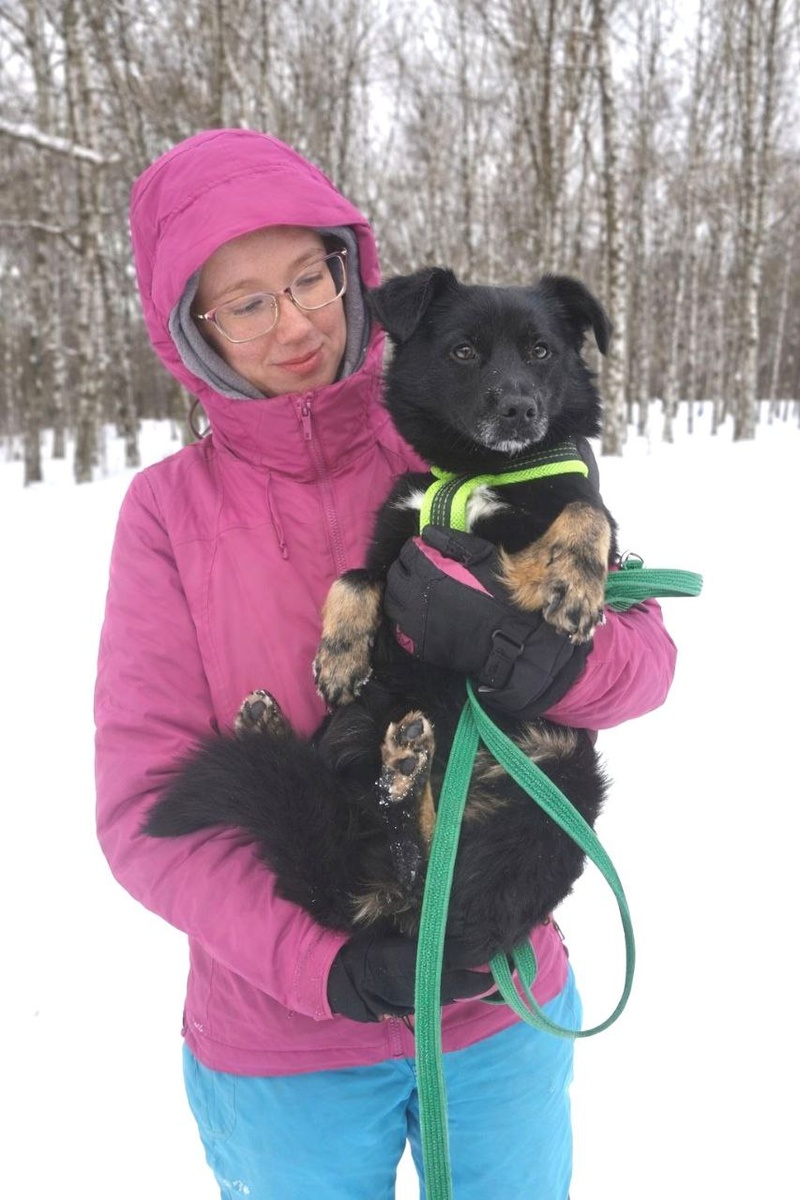 Смотрите, какая муся у нас есть! Ее зовут Чио Сан и она - щенок. Маленькая и будет маленькой, вполне подойдет для квартиры. Сейчас находится в приюте Некрасовка. Но ей там не место. Пусть она уедет домой, а? Звоните, пишите, Чио Сан ждет!

Спокойна, обучаема, будет абсолютно предана своей новой любящей семье, умная, эмпатичная!

Приезжайте скорее знакомиться! Мы ждем Вас в приюте Некрасовка, приехать в приют совсем не сложно. Приглашаем на прогулки с собачками! Вас ждут только положительные эмоции! Сейчас Чио Сан в приюте Некрасовка (Мосва, 2-я Вольская ул). Приезжайте! Приехать в приют совсем не сложно!             8926 210 3245 Ирина