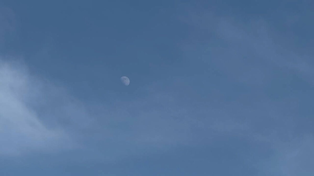    Фото: телеканал «Краснодар»