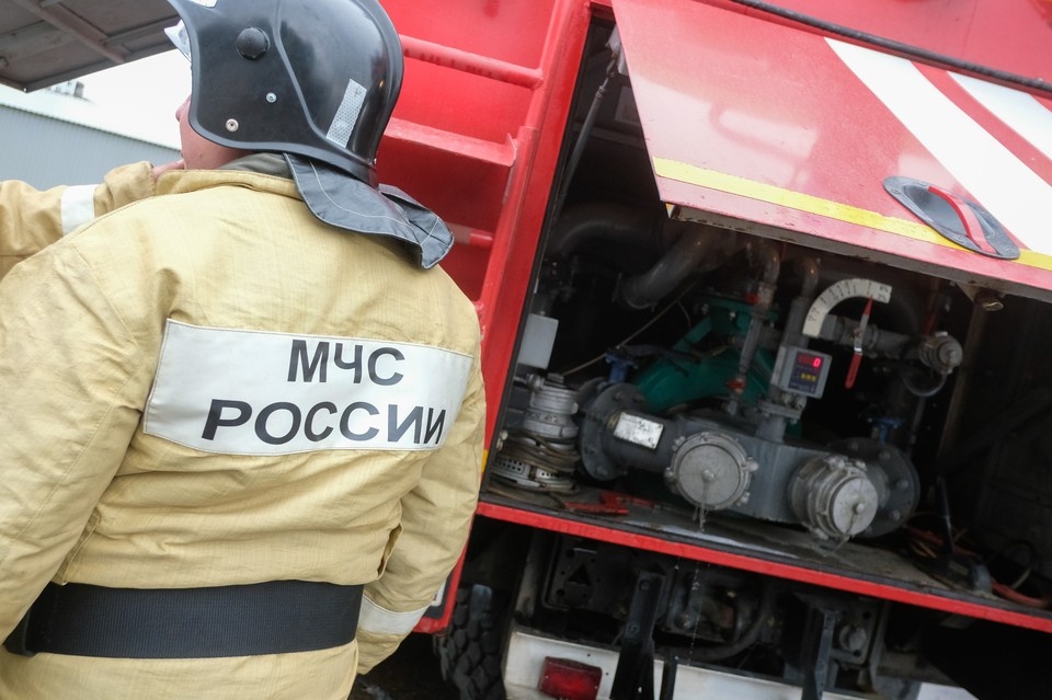    Сколько животных всего было внутри и всех ли удалось спасти – пока неизвестно. Артем КИЛЬКИН