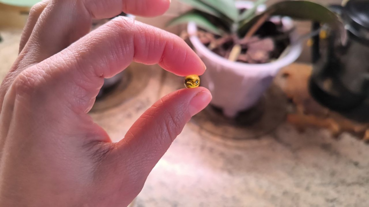 Фото из личного архива