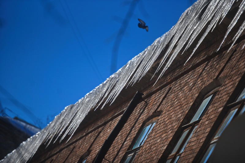    Фото: Царьград