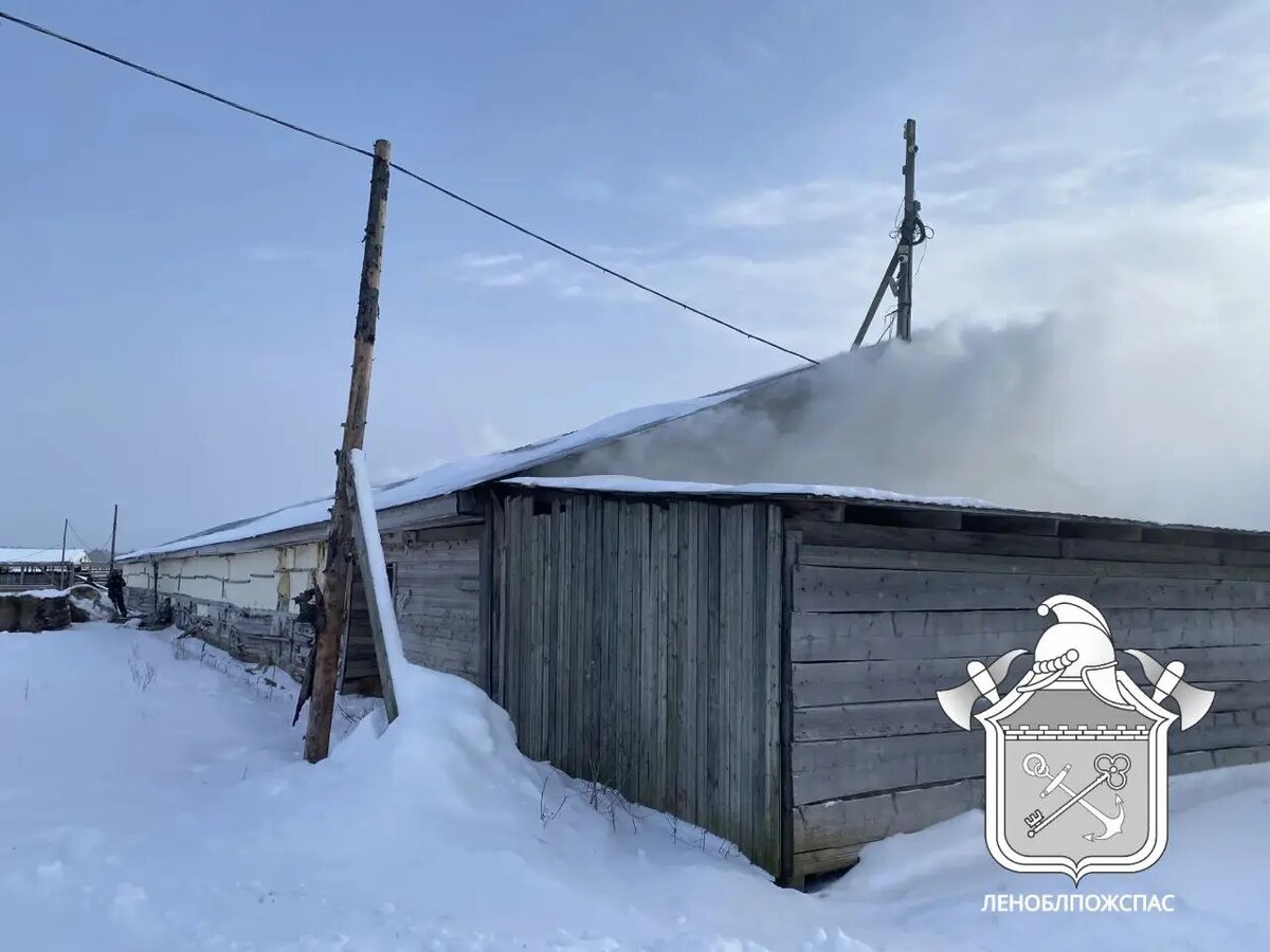    Фото: пресс-служба Леноблпожспас.