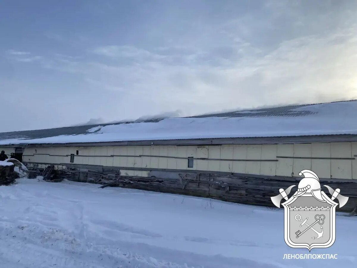    Фото: пресс-служба Леноблпожспас.