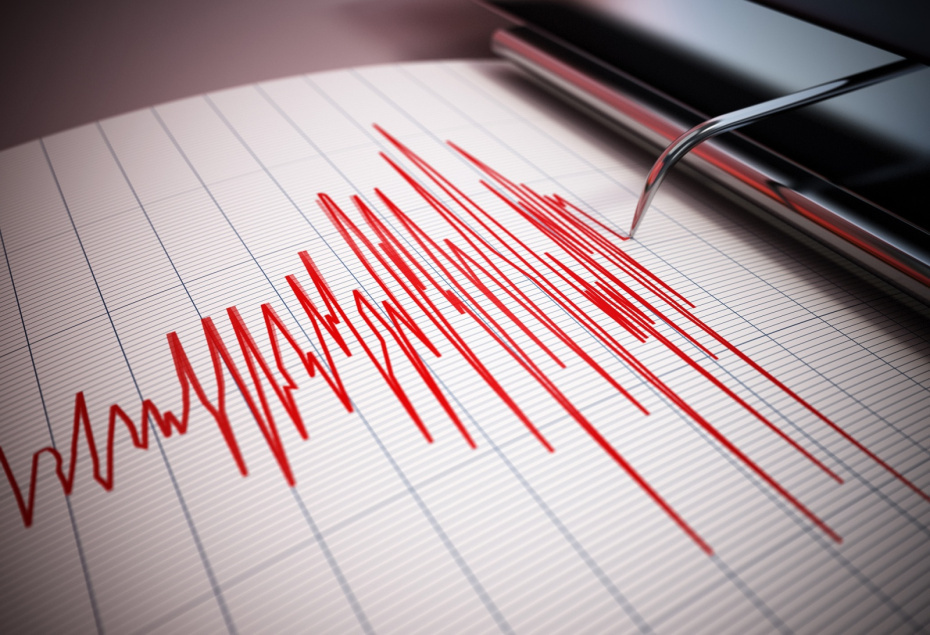    Shutterstock/FOTODOM