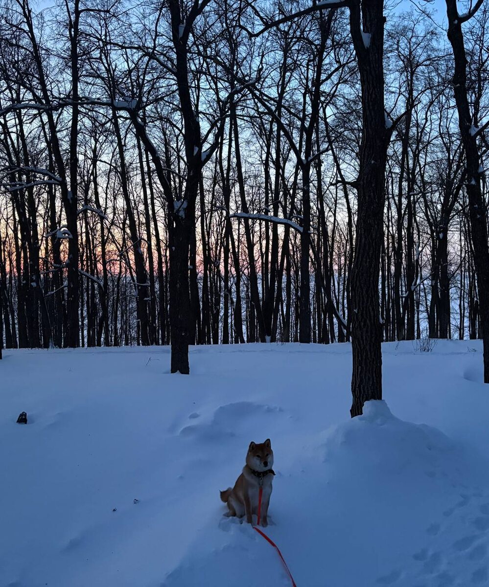 Невероятно красивое небо...