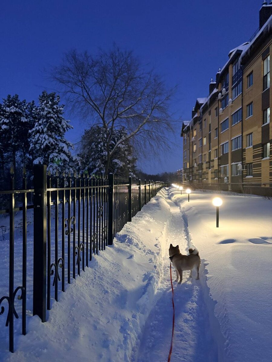 Сугробы в рост сибы) 