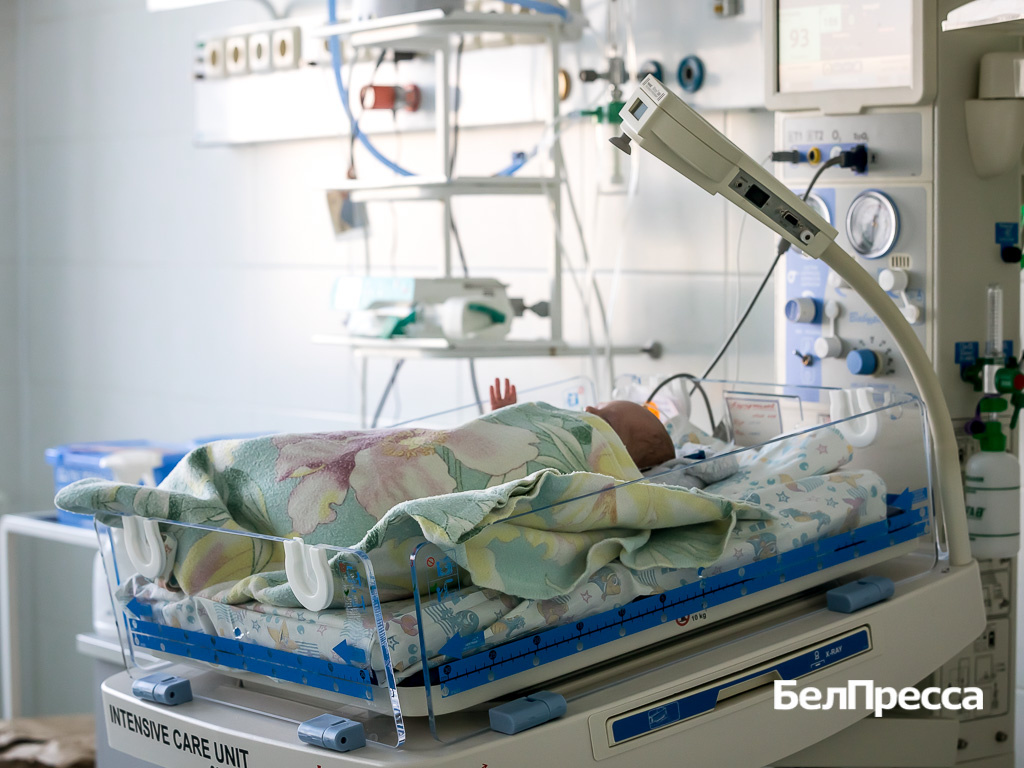     Фото: Павел Колядин