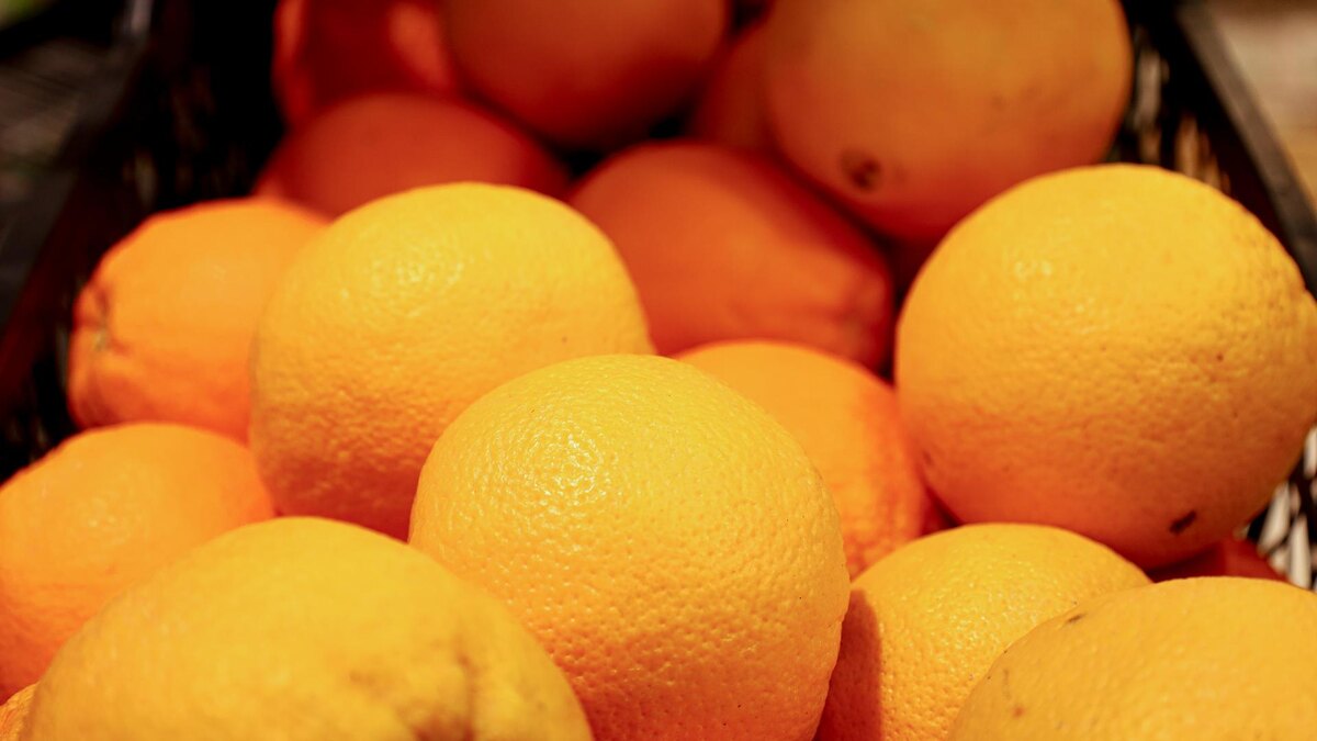    Фото: Elena Mayorova/Global Look Press