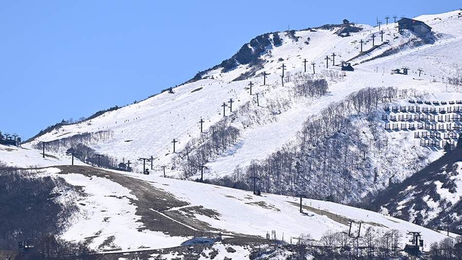    Фото: Global Look Press/Kenjiro Matsuo