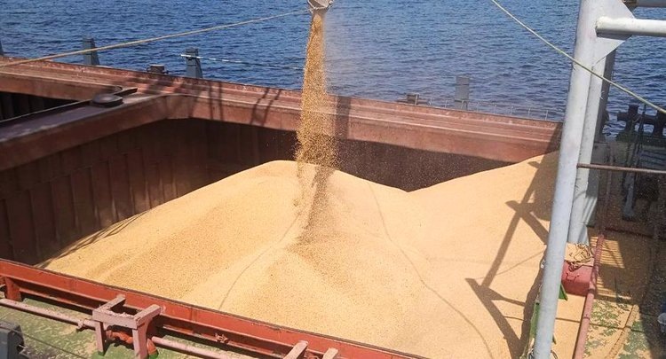    Фото: ФГБУ ЦОК АПК