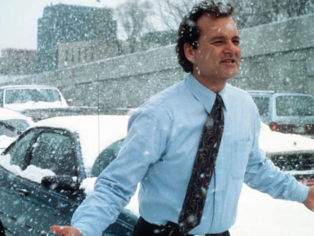     Временная петля — понятие, которое встречается в сюжете фильма «День сурка» (1993) с Биллом Мюрреем в главной роли