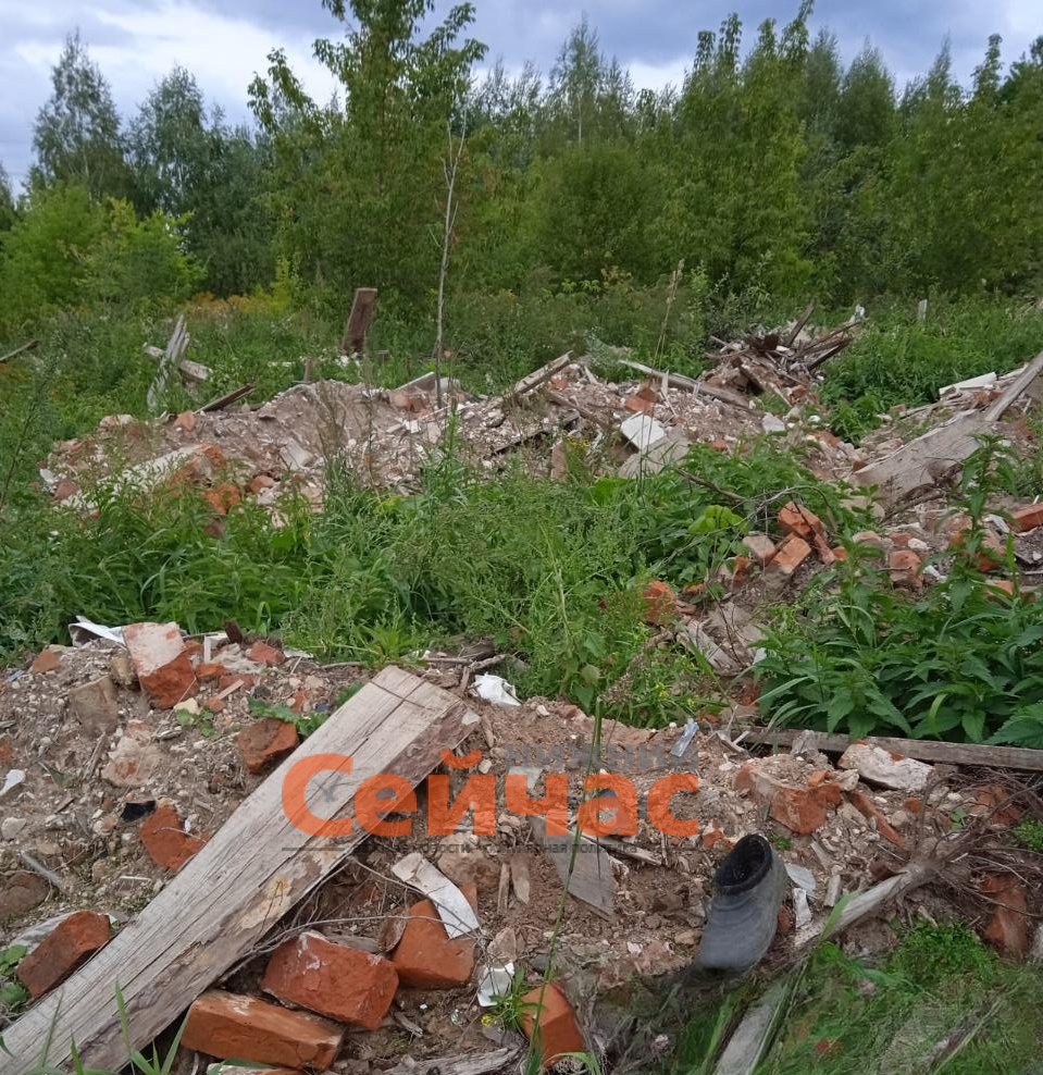    Фото: Росприроднадзор Редакция nn-now